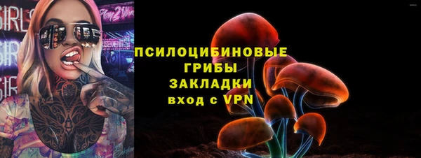 крисы Арсеньев