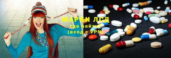PSILOCYBIN Тында