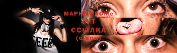 индика Армянск