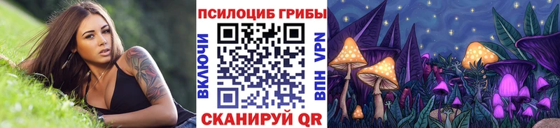 Псилоцибиновые грибы прущие грибы  Чехов 